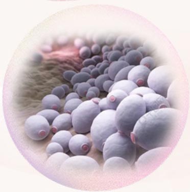 Silver Ion Antibacterial Gel for Men